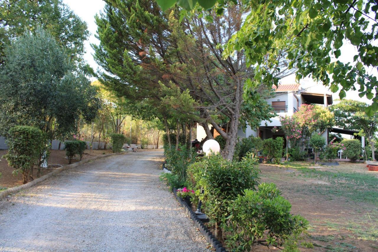 מאקרי Anastasia מראה חיצוני תמונה
